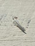 EFOT-0001 KAZEKIRI FEATHER PIN “small”