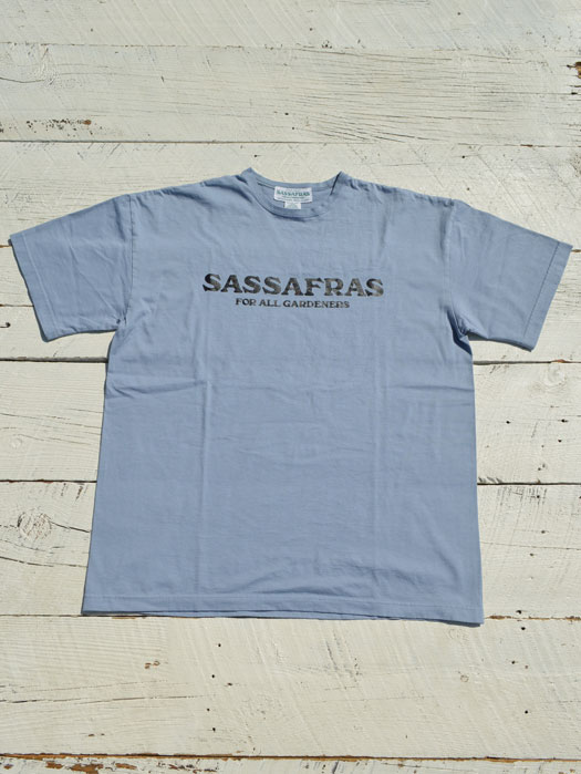 SASSAFRAS T 1/2