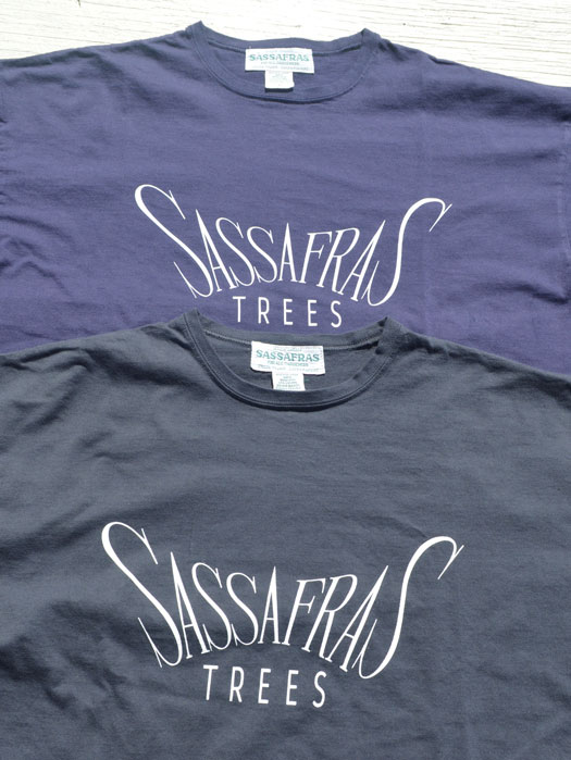 SASSAFRAS TREES T 1/2