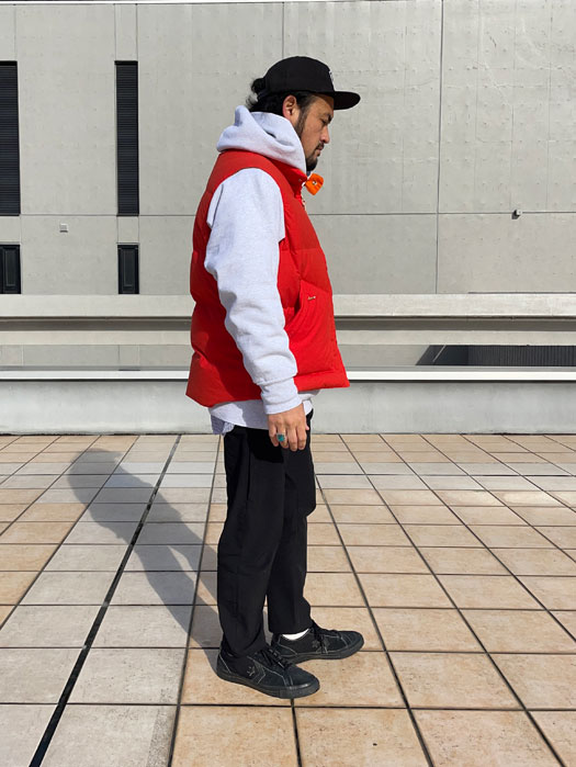 GOOSE DOWN VEST