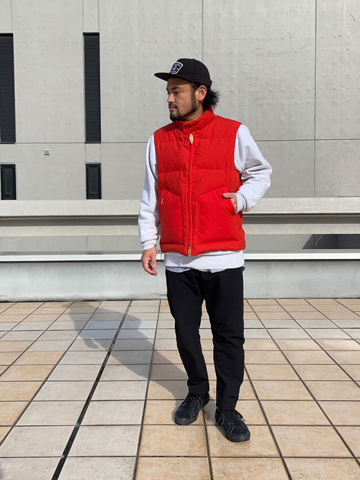 GOOSE DOWN VEST